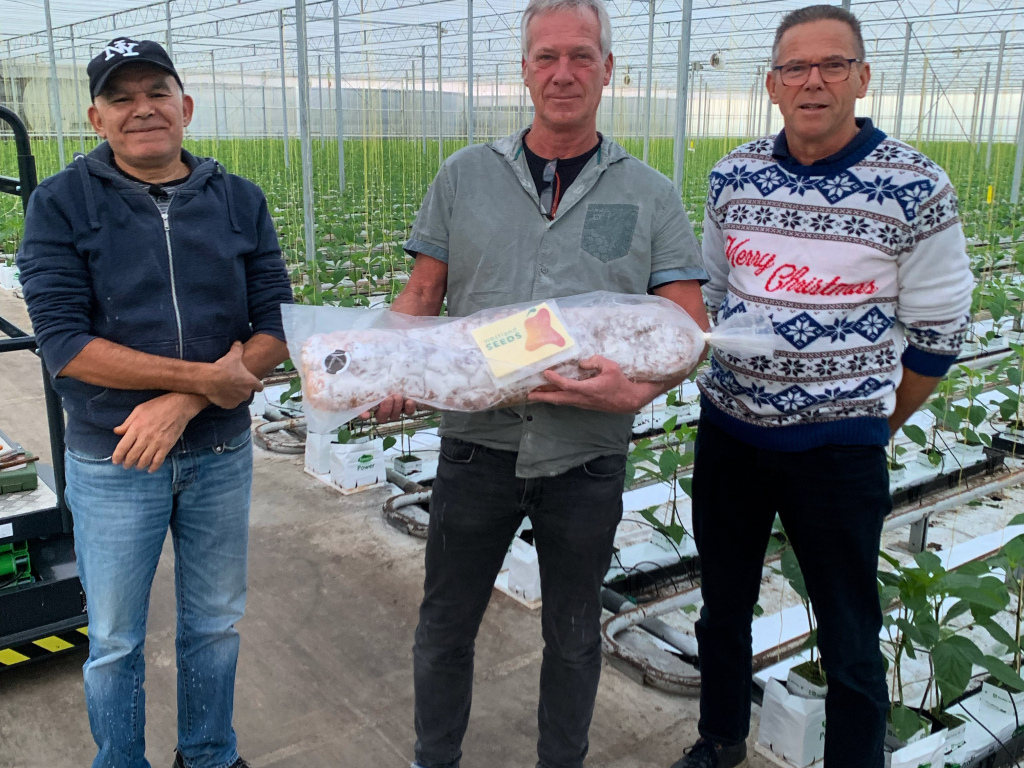 Westland Seeds wenst u fijne feestdagen en een prachtig nieuw jaar!