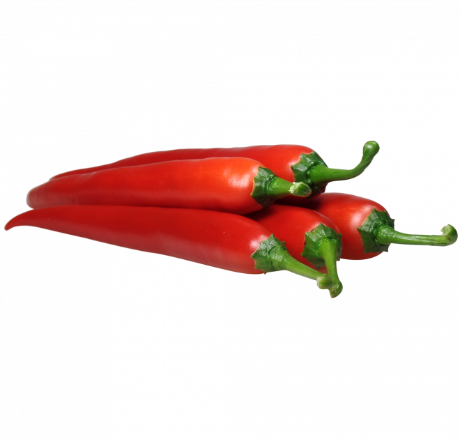 WLS 2600 | chili