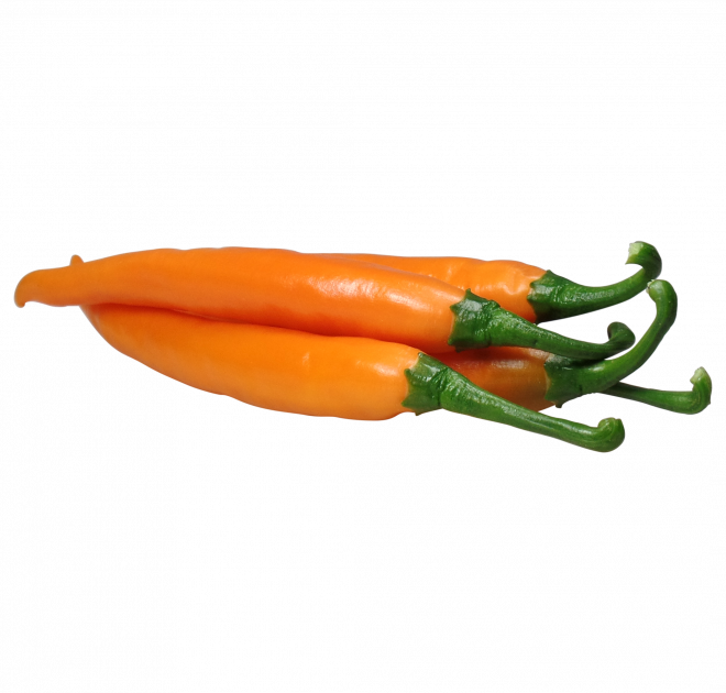 WLS 9605 | chili